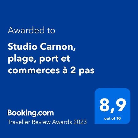 Studio Carnon, Plage, Port Et Commerces A 2 Pas エクステリア 写真